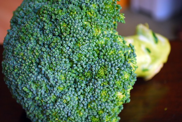 Lovely farmer's market broccoli